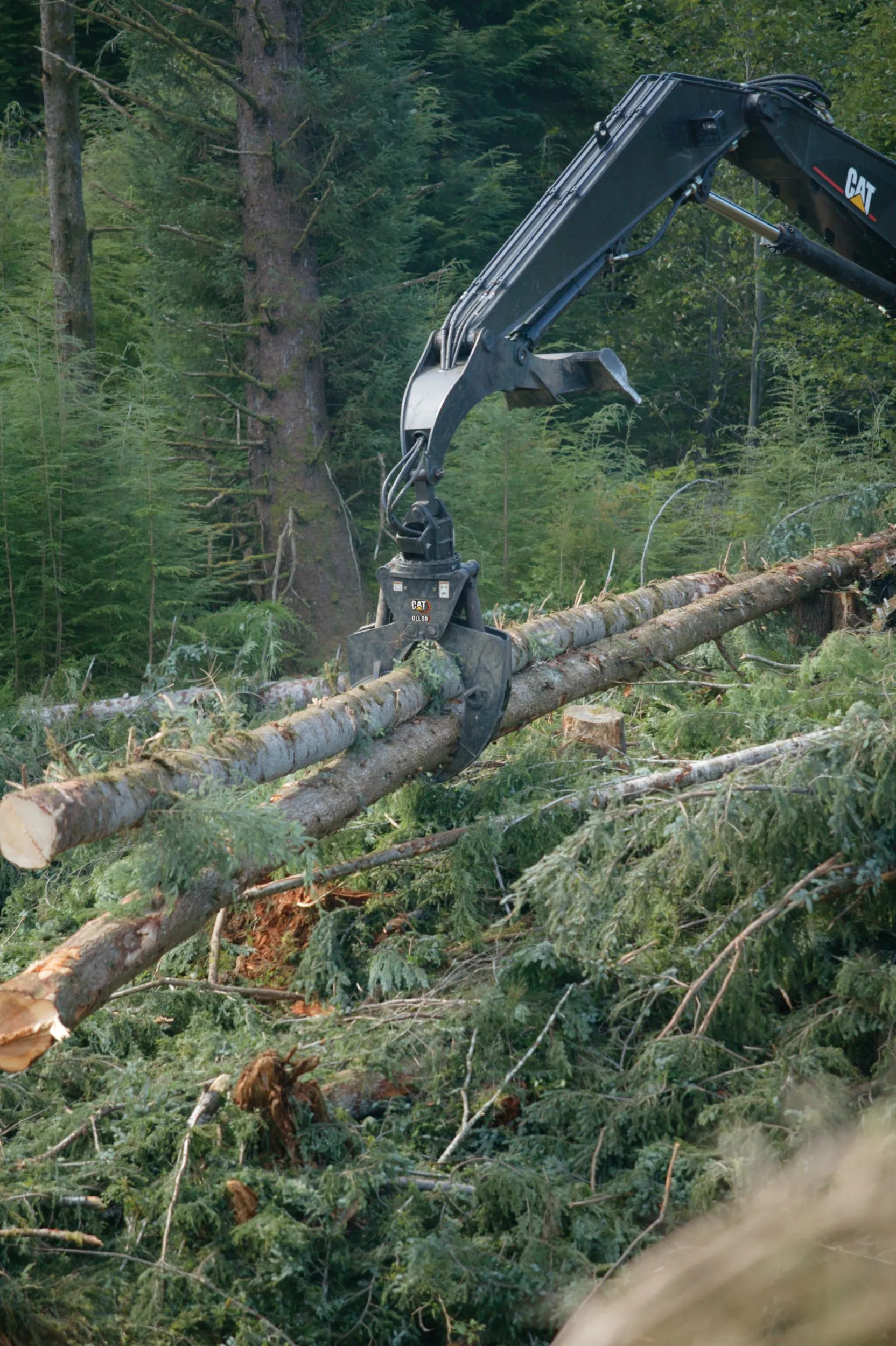 Лесной грейферный захват, GLL60, арт. 14099730, CATERPILLAR, для CATERPILLAR, Forest Machine Grapples — фото из галереи, купить в Вектор